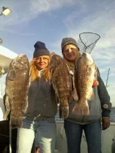 How to Book the Perfect Fishing Charter with Celtic Quest