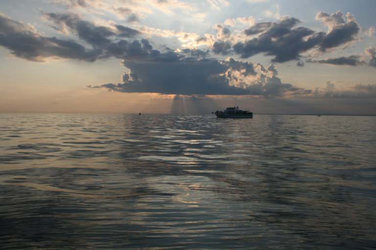 How to Book the Perfect Fishing Charter with Celtic Quest