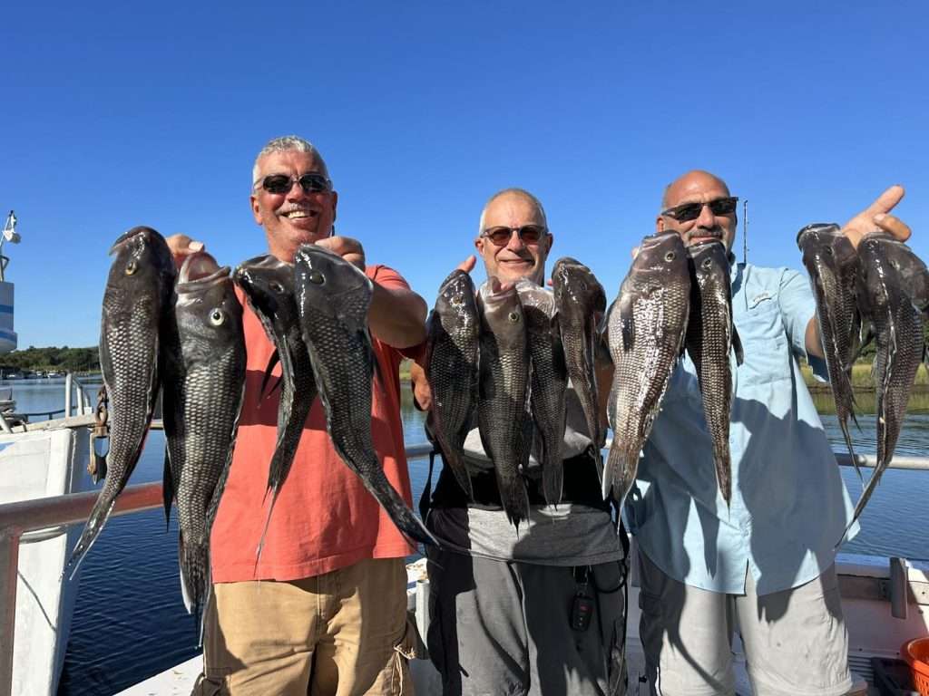 Fagota i le Sea Bass ma le Celtic Quest Fishing