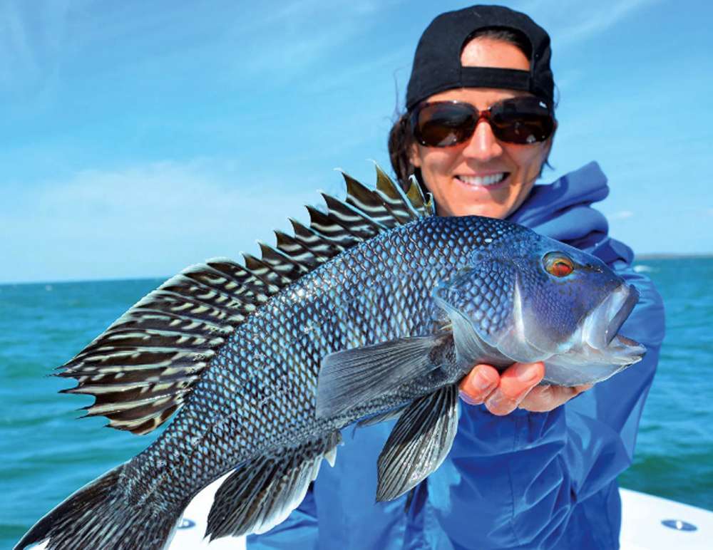 Fagota i le Sea Bass ma le Celtic Quest Fishing 3 Fagota i le Sea Bass ma le Celtic Quest Fishing