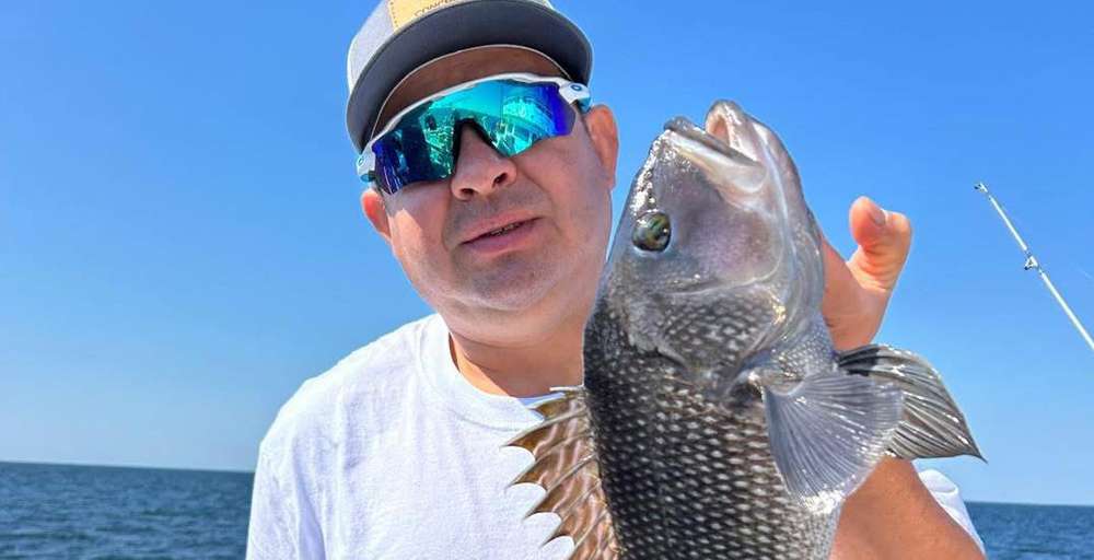 Black sea bass caught aboard Celtic Quest