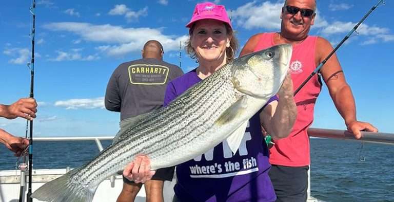 Summer 2026 Fishing Forecast: What’s Biting and When to Book