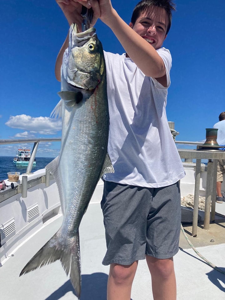 Boy holding big bluefish on Celtic Quest charter boat, Port Jefferson NY