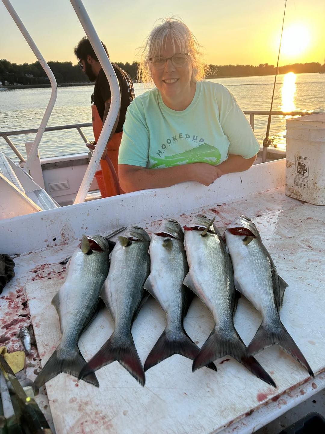 Row of bluefish on cutting table at golden hour on Celtic Quest, Port Jefferson harbor