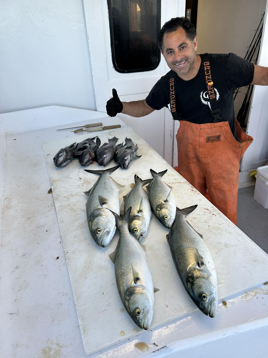 Celtic Quest crew member with bluefish and sea bass spread on fillet table